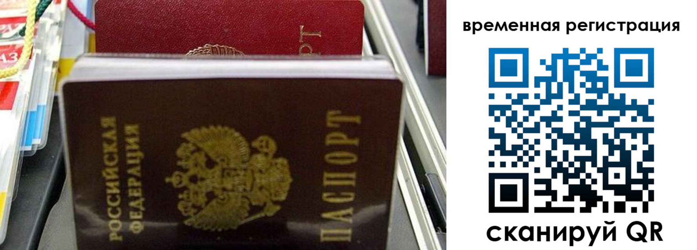 прописка законно в Колпашево